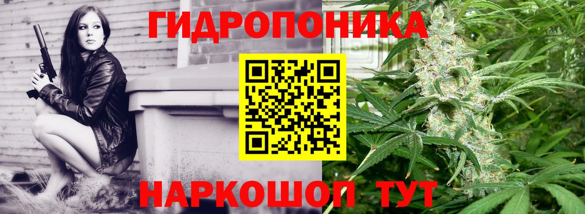 Марихуана сатива  Вход с VPN  Шишки марихуана планчик  Среднеуральск 